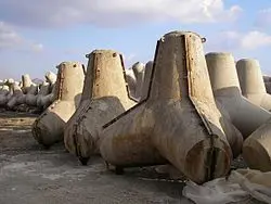 3b313517-db5d-46b9-b385-cc52f6ed8eea-250px-Tetrapoden_in_Gussform conv.jpg