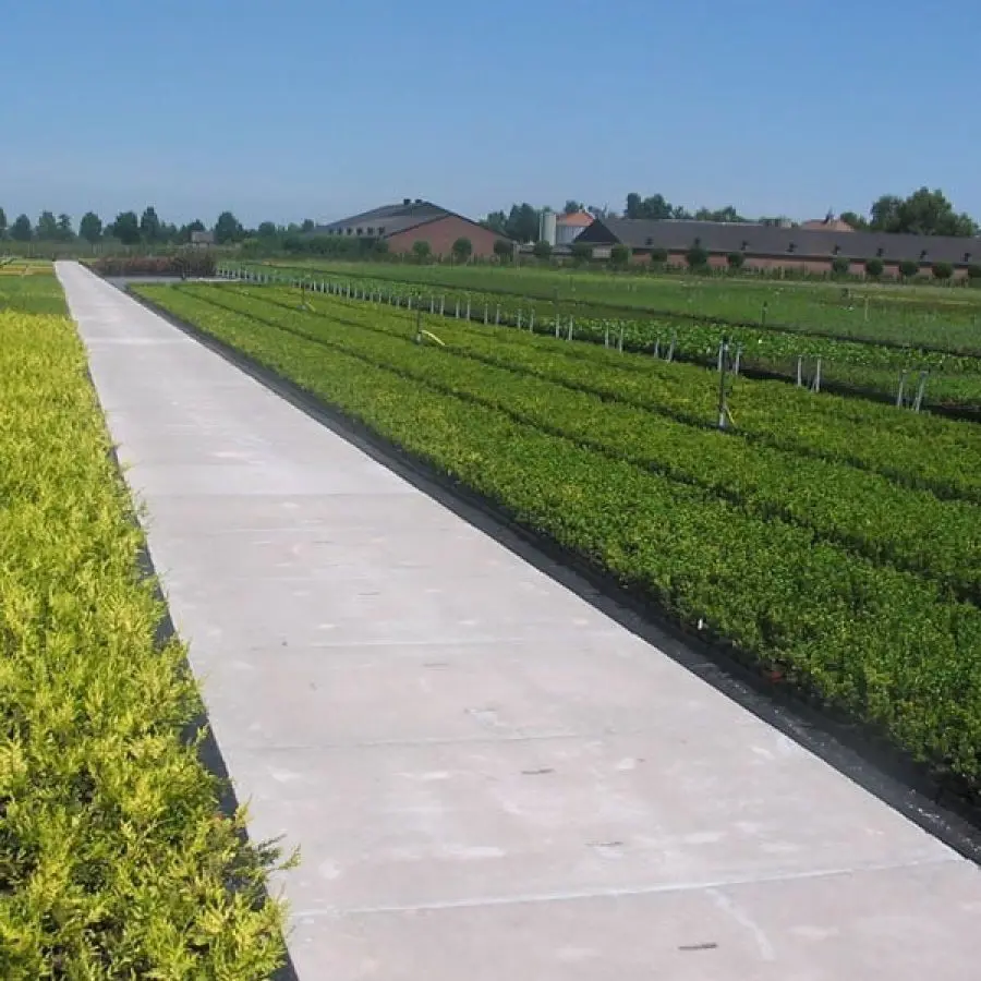 fbd4c25c-5f65-433e-99e4-c3d4074a877e-produkte_ground-agricon_01-qrtnmnsey5qns2qby01uyei2ploq5hyj6f2zt9a04o conv.jpg