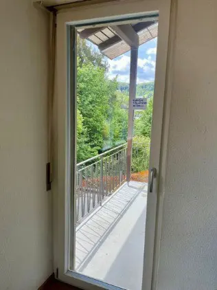a75cf527-7ee1-464d-a48d-a1e0e99fb0b1-fensterture-3-fach-verglast-1-fluglig-88x212cm.jpg